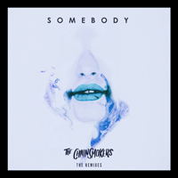 Chainsmokers - Somebody (Remixes) (EP)