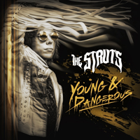 Struts (GBR) - Young & Dangerous