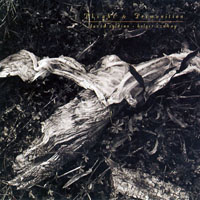 David Sylvian - Plight & Premonition (LP) (split)