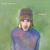 David Sylvian - Blemish (Japanese Edition)