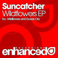 Suncatcher - Wildflowers (EP)