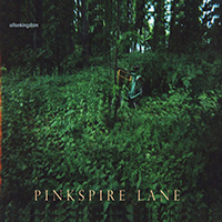 Allan Kingdom - Pinkspire Lane (EP)