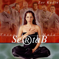 Sertab Erener - Zor Kadin (Single)