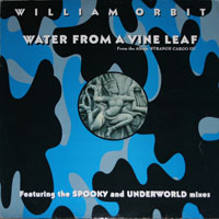 William Orbit - Water From A Vine Leaf (Single)