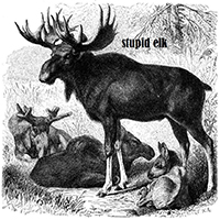 Black Holes Into The Streets - Stupid Elk (EP)