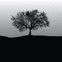 Black Holes Into The Streets - The Tree Without Head (Single)