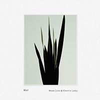 Wet - Weak (Live @ Electric Lady)