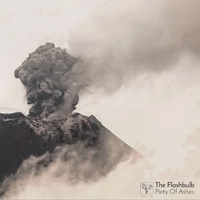 Flashbulb - Piety Of Ashes