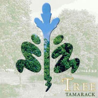 Tamarack - Tree
