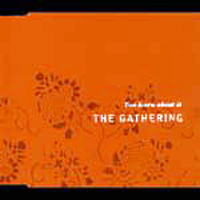 Gathering - You Learn About It (Single)