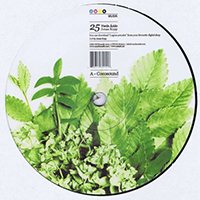 Kopp, Jonas - Verde Acido (EP)
