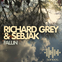 Richard Grey - Fallin (Split)