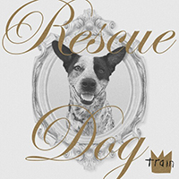 Train (USA) - Rescue Dog (Single)