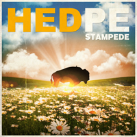 (hed) P.E. - Stampede