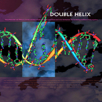 Various Artists [Soft] - Double Helix