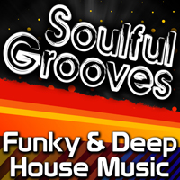 Various Artists [Soft] - Soulful Grooves - Funky & Deep House Music