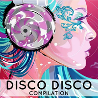 Various Artists [Soft] - Disco Disco Compilation