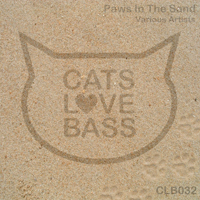 Various Artists [Soft] - Paws In The Sand