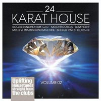 Various Artists [Soft] - 24 Karat House Vol. 2