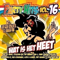 Various Artists [Soft] - Party Hits Vol.16