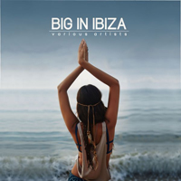 Various Artists [Soft] - Big In Ibiza
