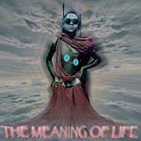 Various Artists [Soft] - The Meaning Of Life
