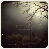 Tiny Leaves - Inthesenarrowspaces