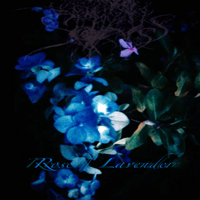 Sadness (USA) - Rose / Lavender
