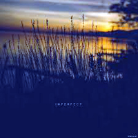 Sadness (USA) - Imperfect (Split)