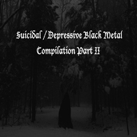 Various Artists [Hard] - Suicidal & Depressive Black Metal - Compilation Part II