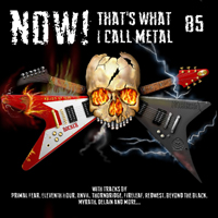 Various Artists [Hard] - NOW! That's What I Call Metal 85
