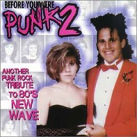 Various Artists [Hard] - Before You Were Punk, Vol. 2