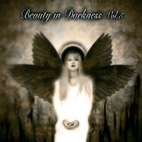Various Artists [Hard] - Beauty In Darkness Vol.5