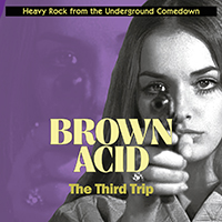 Various Artists [Hard] - Brown Acid: The Third Trip