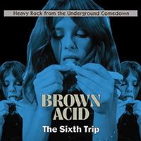 Various Artists [Hard] - Brown Acid: The Sixth Trip