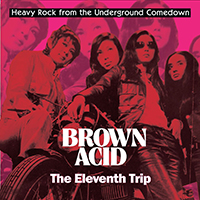 Various Artists [Hard] - Brown Acid: The Eleventh Trip