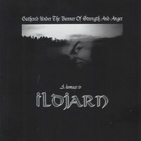 Various Artists [Hard] - Gathered Under The Banner Of Strength and Anger Homage to Ildjarn