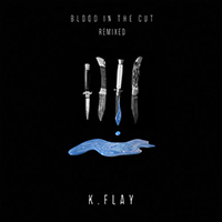 K.Flay - Blood In The Cut (Remixed Single)