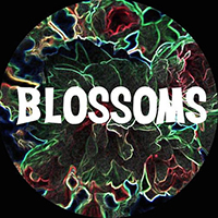 Blossoms - You Pulled A Gun On Me (Single)