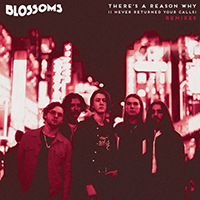 Blossoms - There's A Reason Why (I Never Returned Your Calls) (Remixes Single)