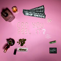 Trevor Something - Can You Feel It? (Single)