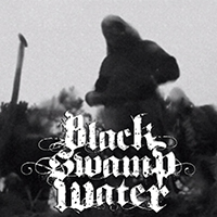 Black Swamp Water - The End (Single)