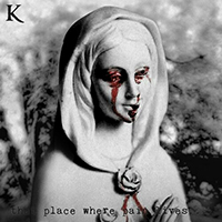 KING 810 - That Place Where Pain Lives... (with Rosiemay) (Single)