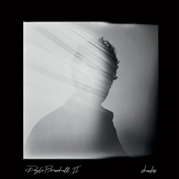 Doyle Bramhall II - Shades