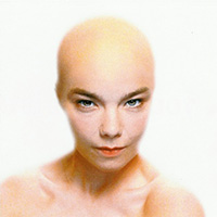 Bjork - Hunter (Single, CD 3)