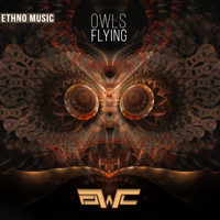 Owl (ISR) - Owls Flying
