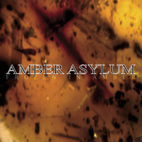 Amber Asylum - Frozen In Amber (Remastered)