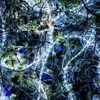 Aimer - Ninelie  (Single)