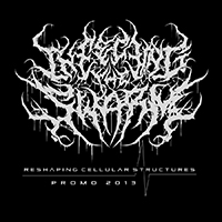 Infecting The Swarm - Reshaping Cellular Structures (demo)