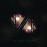 Last Bison - VA